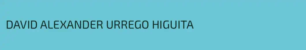 DAVID ALEXANDER URREGO HIGUITA